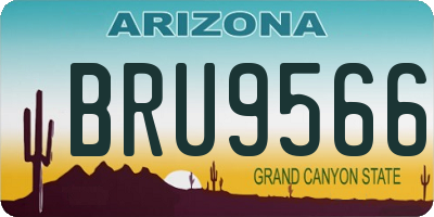 AZ license plate BRU9566