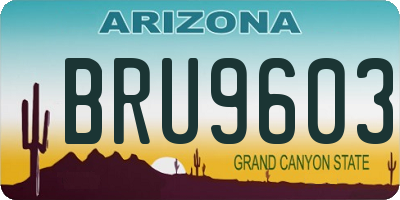 AZ license plate BRU9603