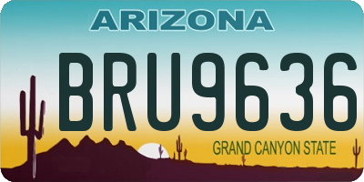 AZ license plate BRU9636