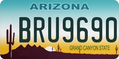 AZ license plate BRU9690