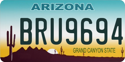 AZ license plate BRU9694
