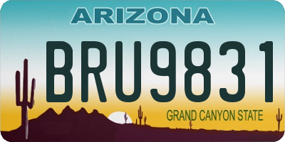 AZ license plate BRU9831