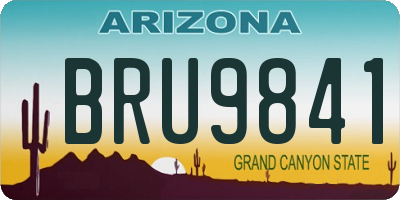 AZ license plate BRU9841