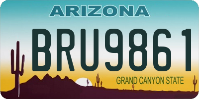 AZ license plate BRU9861
