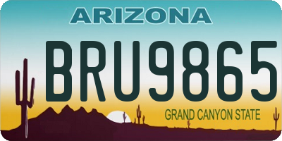 AZ license plate BRU9865