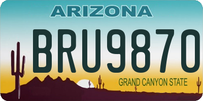 AZ license plate BRU9870