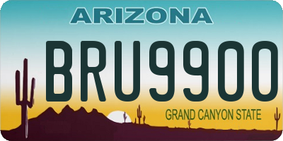 AZ license plate BRU9900