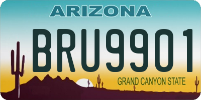 AZ license plate BRU9901