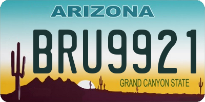 AZ license plate BRU9921
