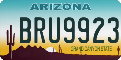 AZ license plate BRU9923