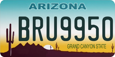 AZ license plate BRU9950