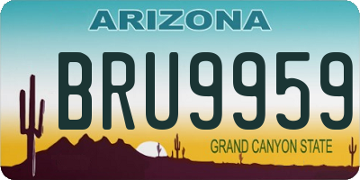AZ license plate BRU9959