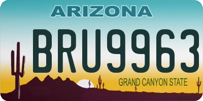 AZ license plate BRU9963