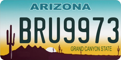 AZ license plate BRU9973