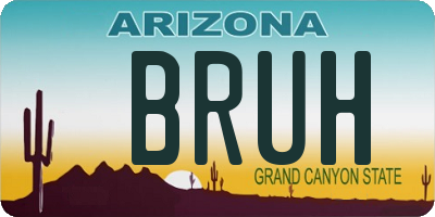 AZ license plate BRUH