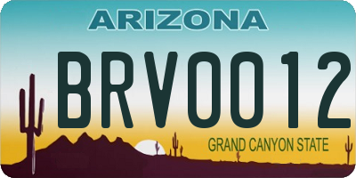 AZ license plate BRV0012