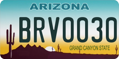 AZ license plate BRV0030