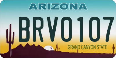 AZ license plate BRV0107