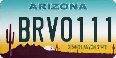 AZ license plate BRV0111