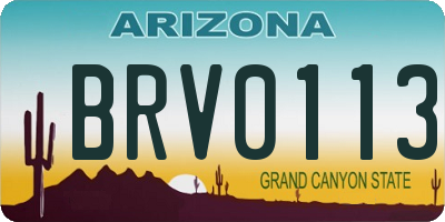 AZ license plate BRV0113