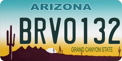 AZ license plate BRV0132