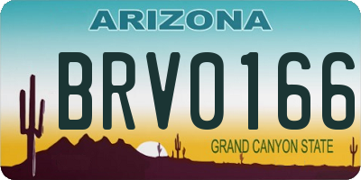 AZ license plate BRV0166