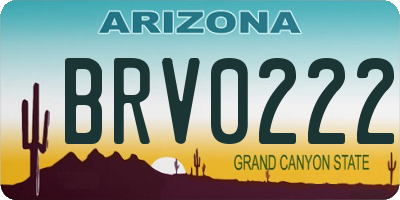 AZ license plate BRV0222