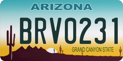AZ license plate BRV0231