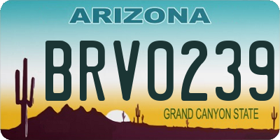AZ license plate BRV0239