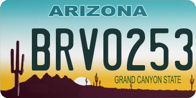 AZ license plate BRV0253