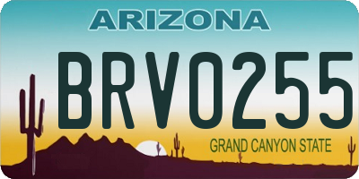 AZ license plate BRV0255
