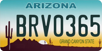 AZ license plate BRV0365