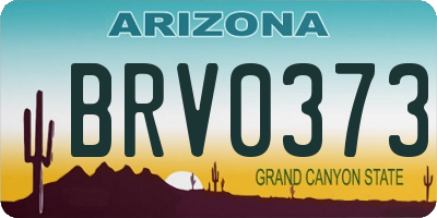 AZ license plate BRV0373
