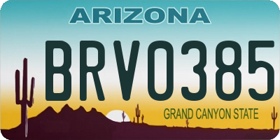 AZ license plate BRV0385
