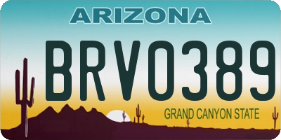 AZ license plate BRV0389