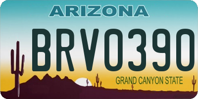 AZ license plate BRV0390