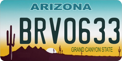 AZ license plate BRV0633