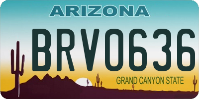 AZ license plate BRV0636