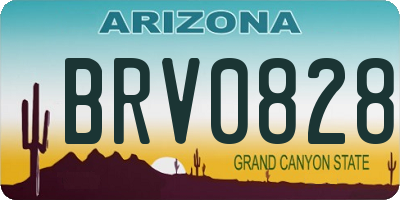AZ license plate BRV0828