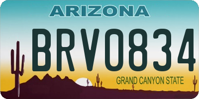 AZ license plate BRV0834