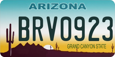 AZ license plate BRV0923