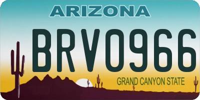 AZ license plate BRV0966