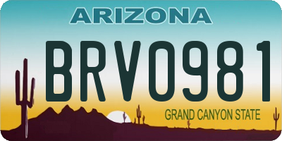 AZ license plate BRV0981