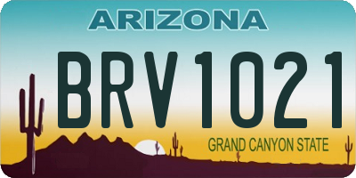 AZ license plate BRV1021