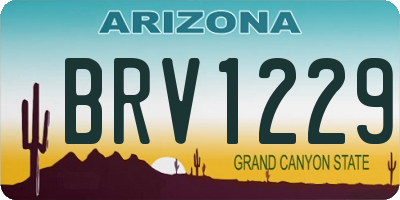 AZ license plate BRV1229