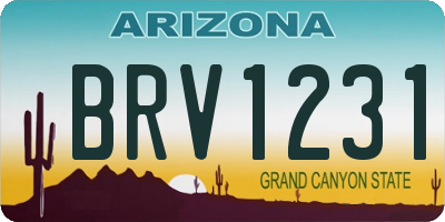 AZ license plate BRV1231