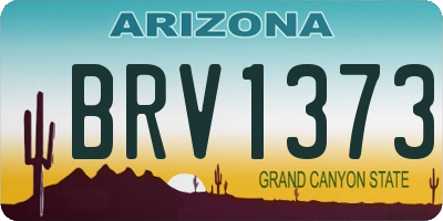 AZ license plate BRV1373