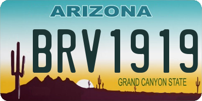 AZ license plate BRV1919