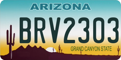 AZ license plate BRV2303