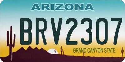 AZ license plate BRV2307